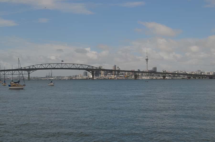 Auckland: Full-Day City Highlights Tour - The essentials at a glance