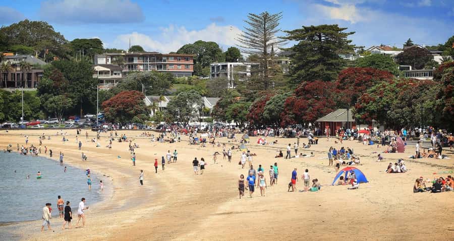 Auckland: Full-Day City Tour - Key points at a glance