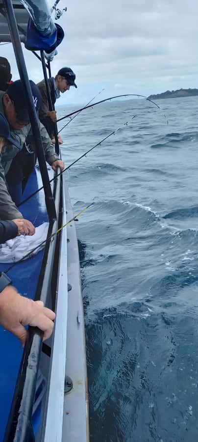 Auckland: Full-Day Fishing Charter (7 am - 4 pm) - Coastal views between the casts