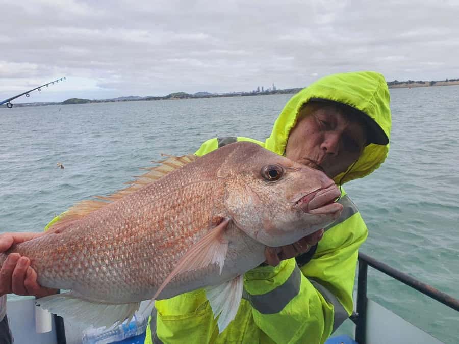 Auckland: Full-Day Fishing Charter (7 am - 4 pm) - Lunch, drinks, and storing your catch