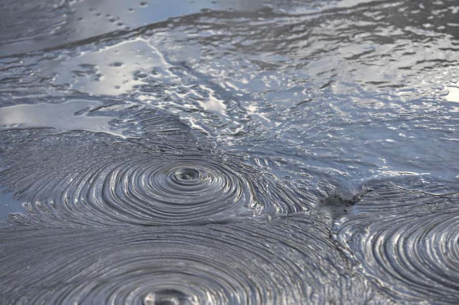 Auckland: Full-Day Trip to Rotorua Geothermal Valley - Watching Pohutu Geyser erupt