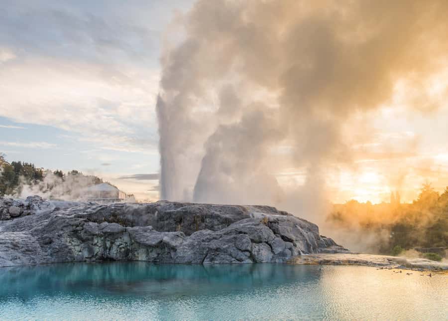 Auckland: Full-Day Trip to Rotorua Geothermal Valley - Is $205 good value?
