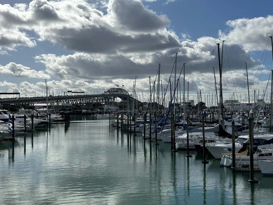 Auckland: GoGuided Auckland City Tour - The audio guide and host-driver combination