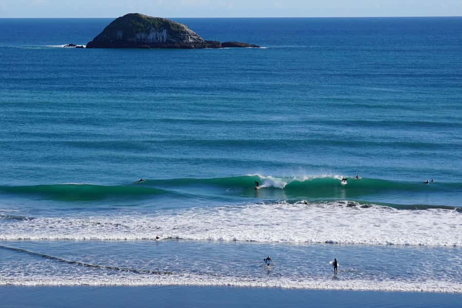 Auckland: Group Surfing Lesson with Muriwai Surf School - What the $41 price really covers