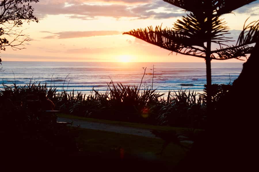 Auckland: Group Surfing Lesson with Muriwai Surf School - How to prepare for Muriwai