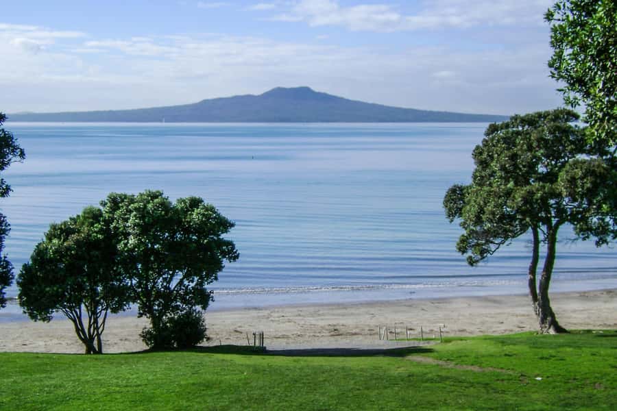 Auckland: Guided Small Group City Discovery Tour - Why the $59 price makes sense