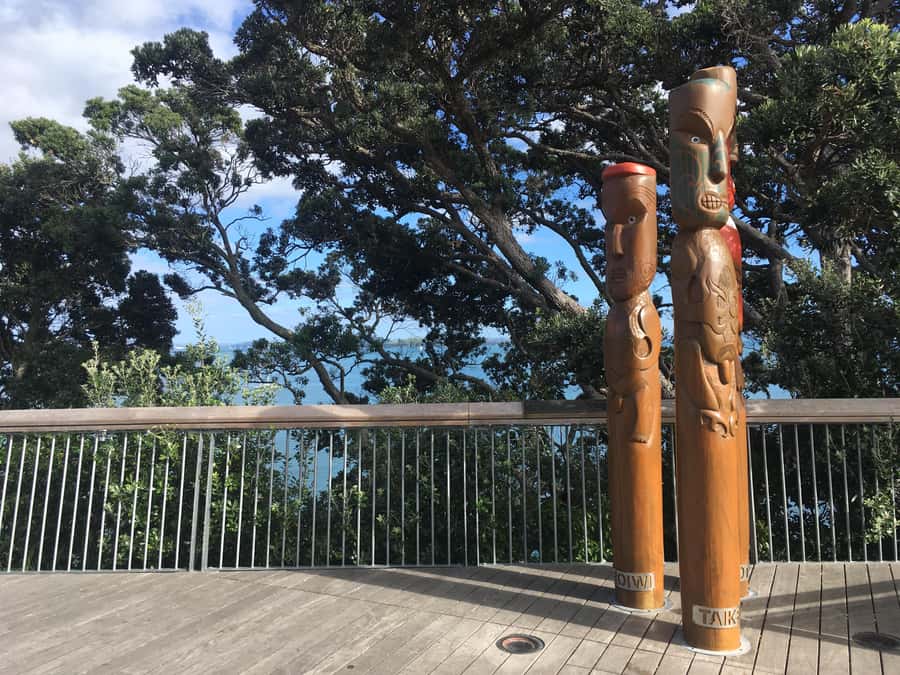 Auckland: Half-Day Auckland Volcanoes Tour - Why Auckland’s volcanoes are worth your morning