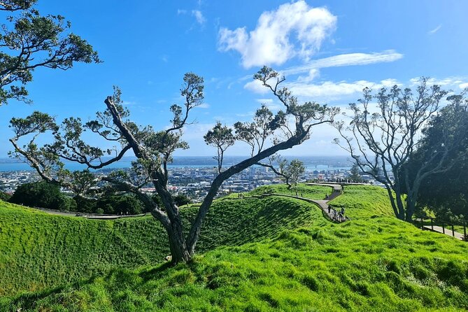 Auckland Half Day City Tour - Heart of Auckland - How flexible is the private format?