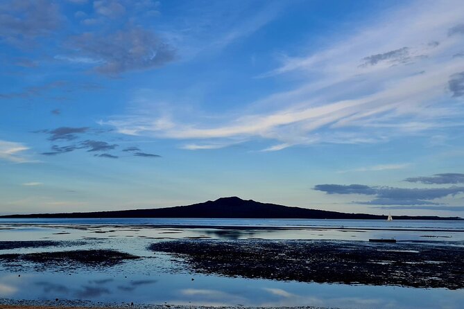 Auckland Half Day City Tour - Heart of Auckland - Price, comfort, and what the timing means