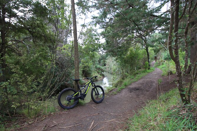 Auckland Half Day E-Bike Excursion - Te Atatu Peninsula and the coffee break