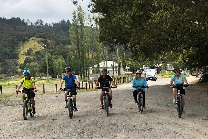 Auckland Half Day E-Bike Excursion - Henderson River, Opunuku Stream, and the return