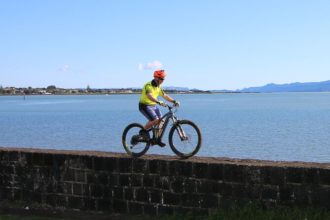 Auckland Half Day E-Bike Excursion - Who should book this ride?
