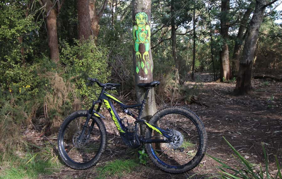 Auckland Half-Day Ebike Tour Excursion - Key things to know before you ride