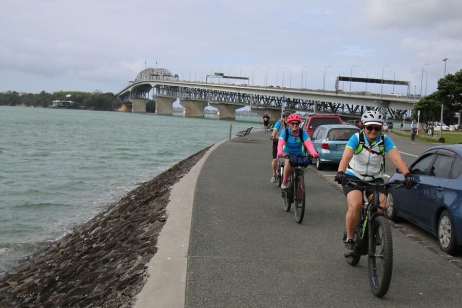 Auckland Half-Day Ebike Tour Excursion - Who will get the most from the $89 price