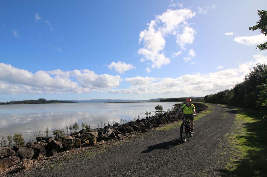 Auckland Half-Day Ebike Tour Excursion - Western Springs and Auckland’s largest lake