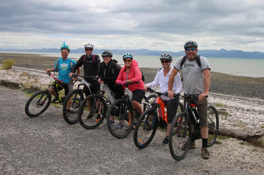 Auckland Half-Day Ebike Tour Excursion - Meola Reserve and views toward Te Atatu Peninsula