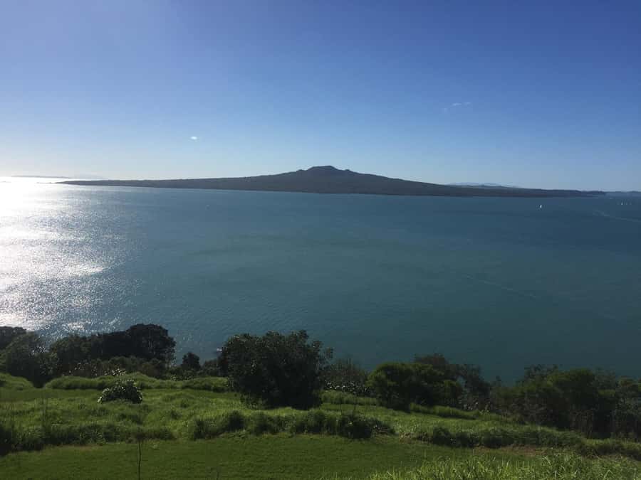 Auckland: Half-Day Private City Highlights Tour - Key points at a glance