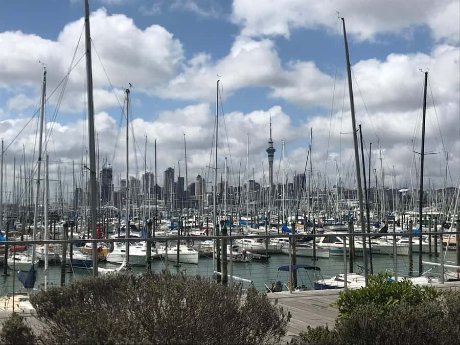 Auckland: Half-Day Private City Highlights Tour - Seeing the Hauraki Gulf from Achilles Point