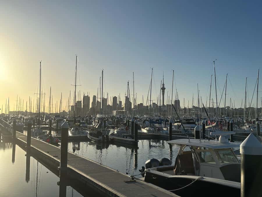 Auckland: Half-Day Private City Highlights Tour - How the private vehicle changes the day