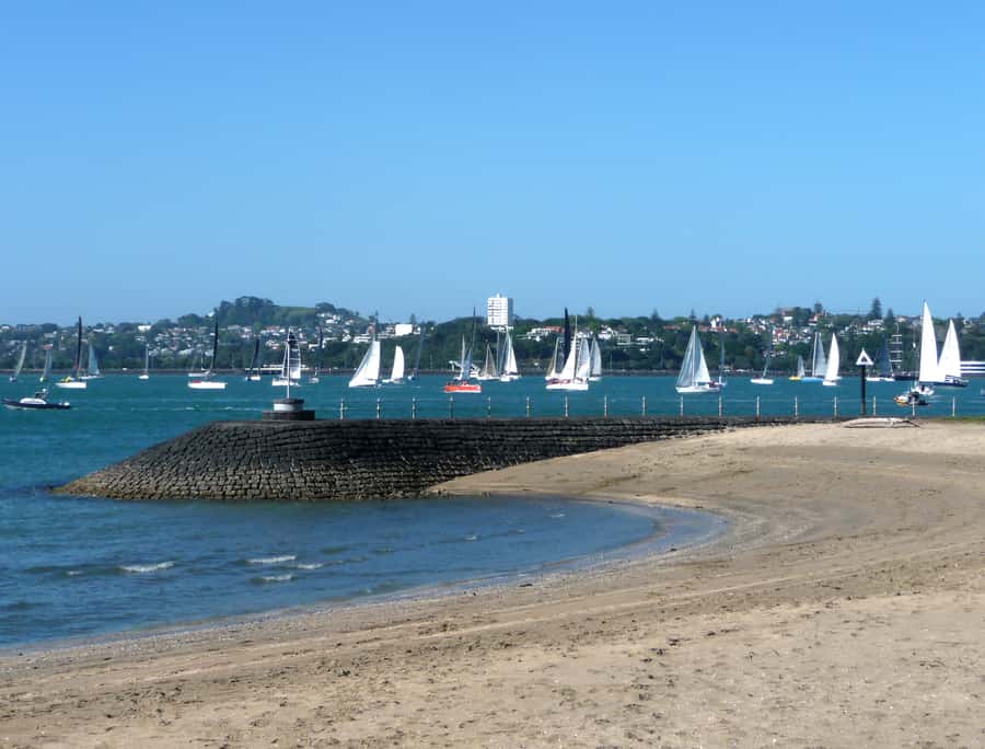 Auckland: Half-Day Private City Highlights Tour - Starting beside Auckland’s working harbor
