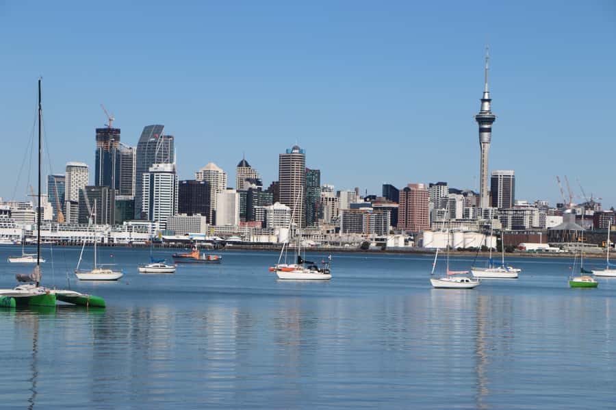 Auckland: Half-Day Scenic Sightseeing Tour - Key points at a glance
