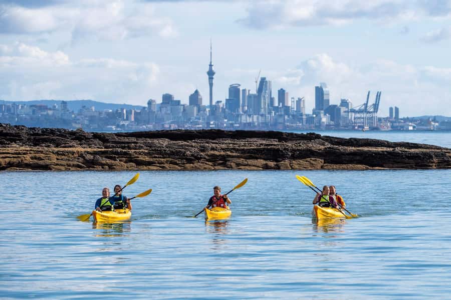 Auckland: Half-Day Sea Kayak Tour to Motukorea Island - Key points to know before you book