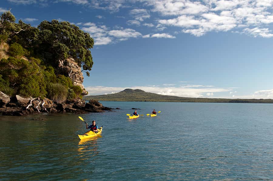 Auckland: Half-Day Sea Kayak Tour to Motukorea Island - Starting at St Heliers Beach