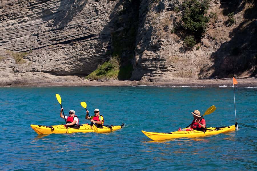 Auckland: Half-Day Sea Kayak Tour to Motukorea Island - Landing on Motukorea, also called Browns Island