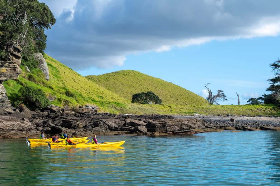 Auckland: Half-Day Sea Kayak Tour to Motukorea Island - How the guides shape the day