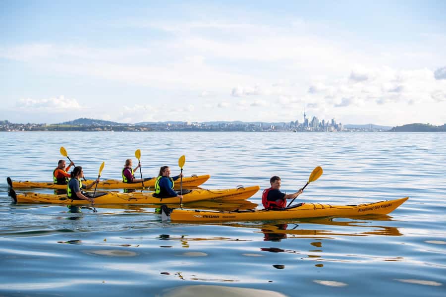 Auckland: Half-Day Sea Kayak Tour to Motukorea Island - Cancellation, group size, and planning details