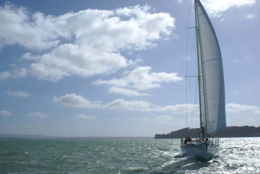 Auckland Harbour 1.5-Hour Sailing Cruise - A chance to help with the sails and helm