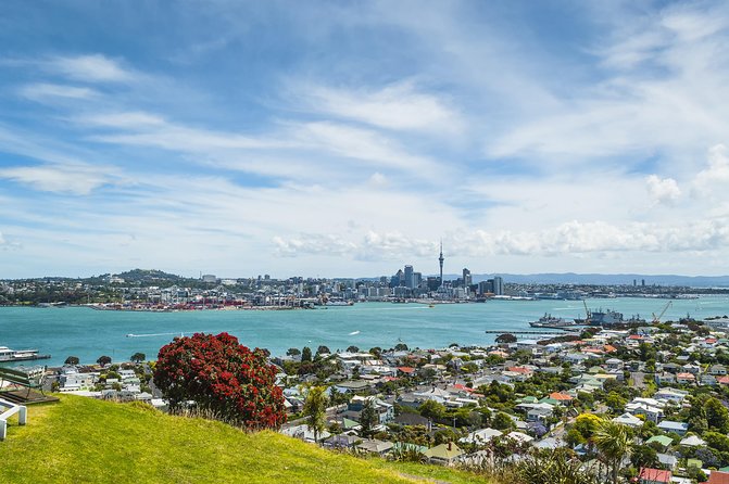 Auckland Harbour Cruise - How good is the live commentary?