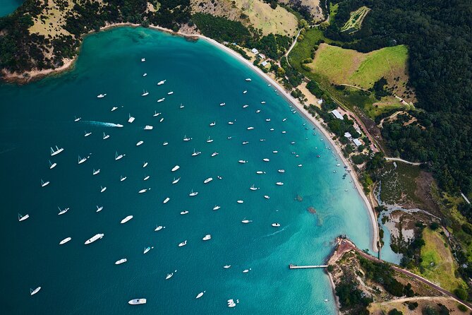 Auckland Harbour Sailboat Cruise Including Three Course Dinner - Who should book this Auckland dinner cruise?