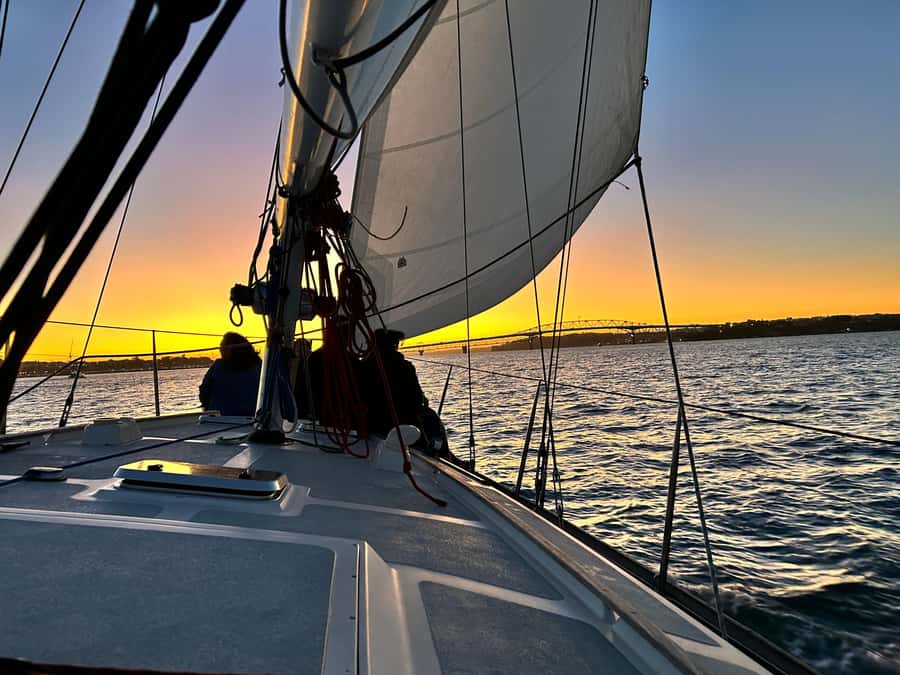 Auckland: Harbour Sailing Cruise with 3-Course Dinner - Setting out from Viaduct Harbour