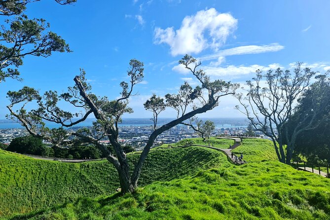 Auckland Hidden Gem Half Day Tour - Why this short Auckland tour works