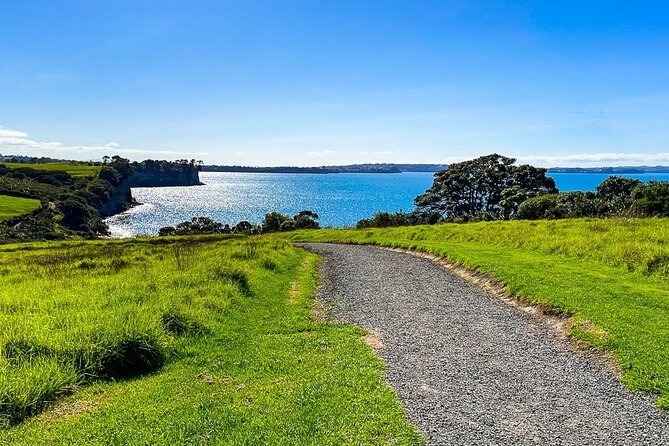 Auckland Hidden gem Tour - Why this North Shore route is worth your time