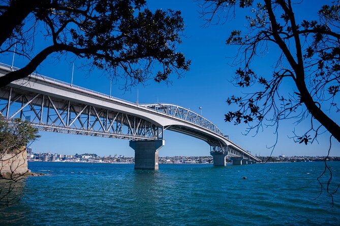 Auckland Highlight Attractions Small Group Tour - Mission Bay, where the city meets the harbour