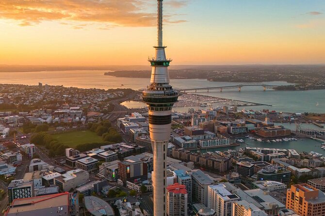 Auckland Highlight Attractions Small Group Tour - Auckland Harbour Bridge, the city’s first broad view