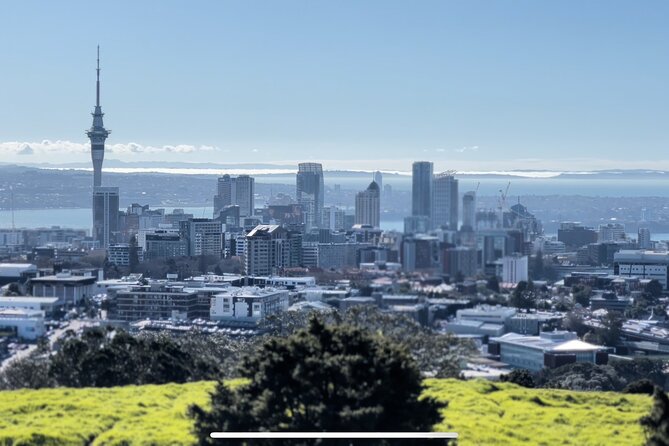 Auckland Highlight Fullday City Tour - Why this Auckland tour works well on a first day