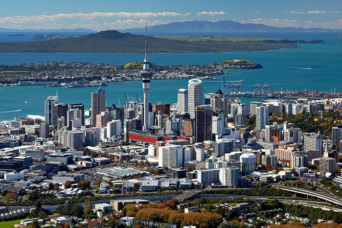 Auckland Highlights 4 Hrs city Tour - Cornwall Park: farm life beside the city