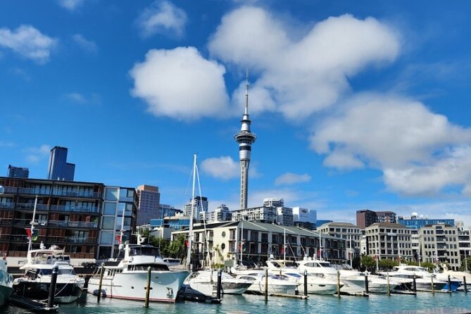 Auckland Highlights Full Day Guided Tour - Key points at a glance