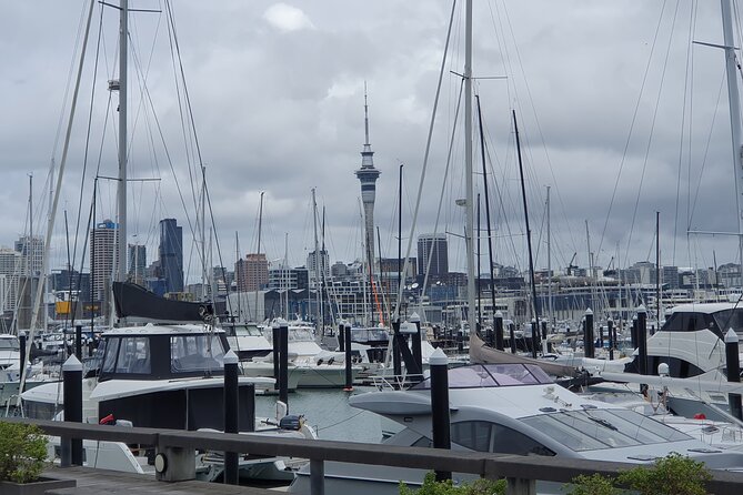 Auckland Highlights Full Day Guided Tour - Mount Eden and the 50-meter crater