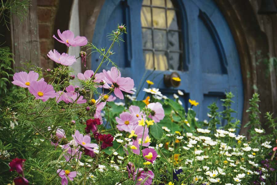 Auckland: Hobbiton and Rotorua Day Tour including Te Puia - Key points before you book