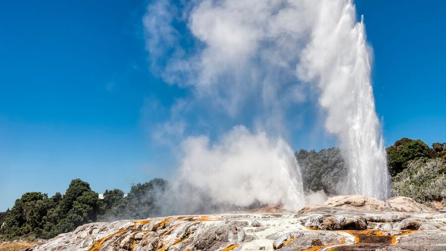 Auckland: Hobbiton and Rotorua Day Tour including Te Puia - Tīrau, Fitzgerald Glade, and the Kaimai ranges