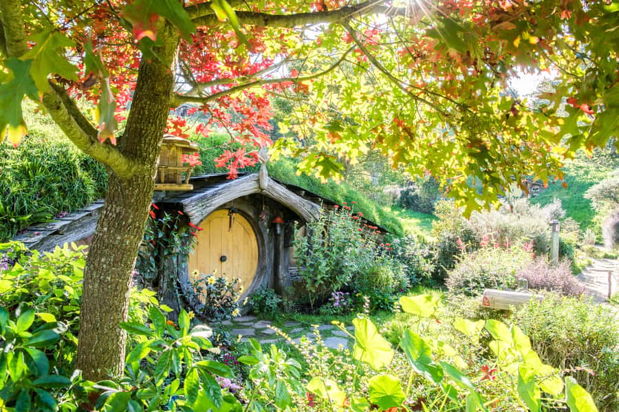Auckland: Hobbiton Movie Set Tour with Lunch - Leaving Auckland before breakfast
