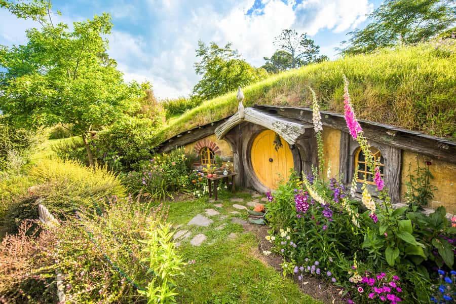 Auckland: Hobbiton Movie Set Tour with Lunch - Timing, group size, and the feel of the day
