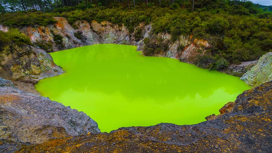 Auckland: Hobbiton, Rotorua and Wai-O-Tapu Day Tour - What the $256 price really buys