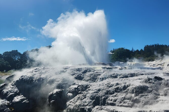 Auckland : Hobbiton & Te puia & red wood forest Private Tour - Key points to know before booking