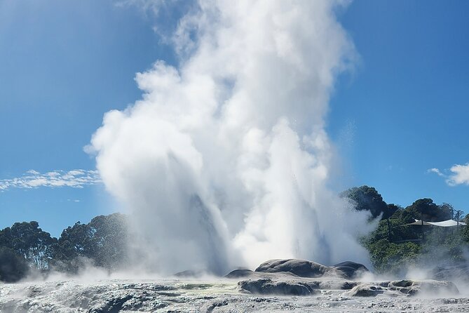 Auckland : Hobbiton & Te puia & red wood forest Private Tour - Te Puia: geysers, Māori culture, and a live kiwi