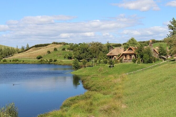 Auckland : Hobbiton & Te puia & red wood forest Private Tour - Rotorua city, lake, and lunch